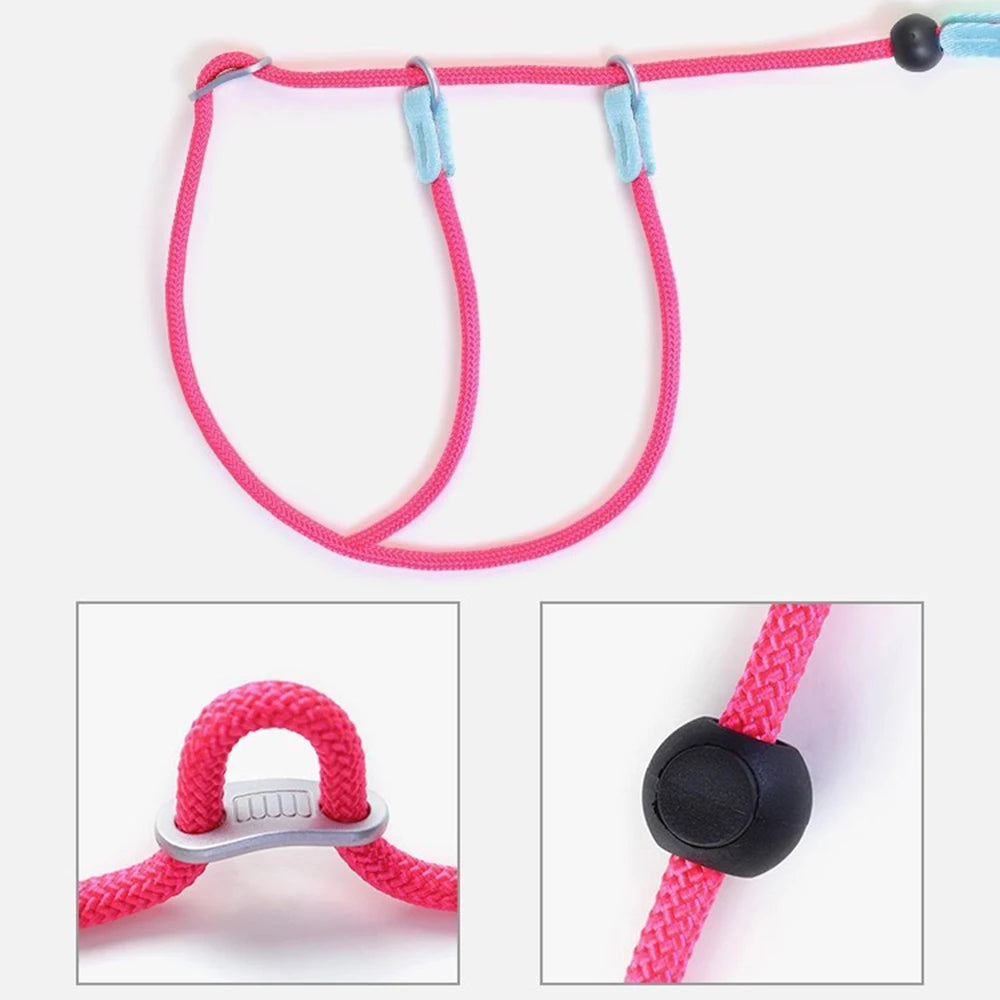 Pawloop Rope Slip Lead Dog Leash