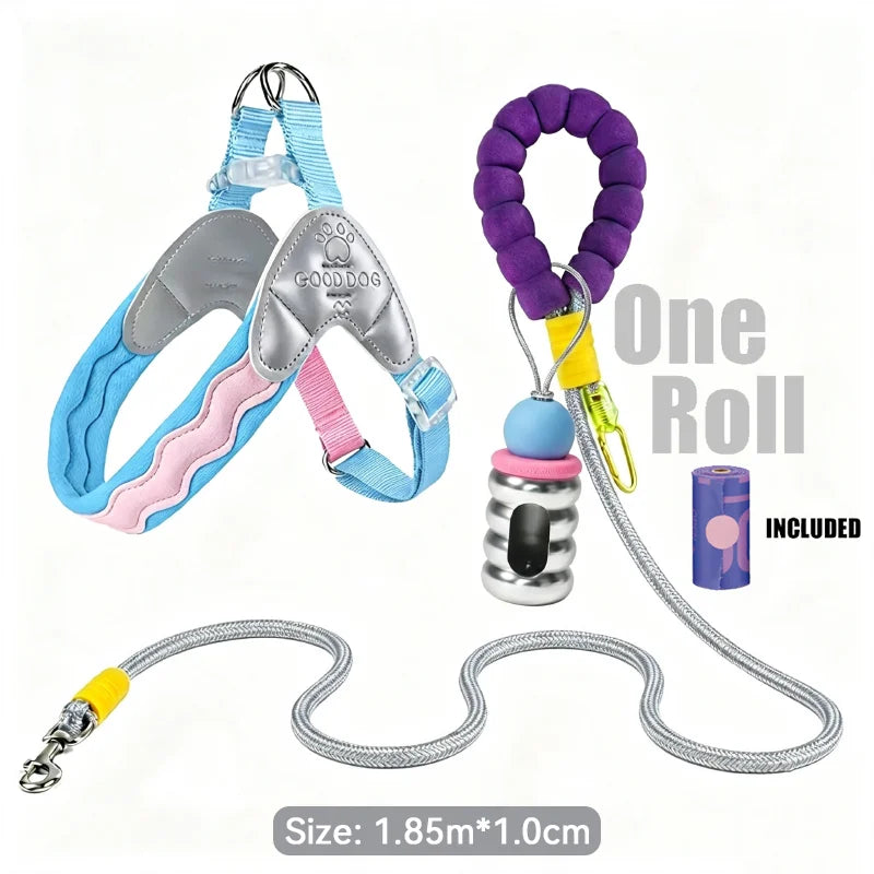 Waggle Galaxy – Colorblock Dog Harness & Leash Set
