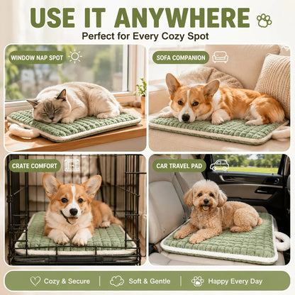 Pet Sleeping Mat Dog Bed Cat Litter Puppy Bed with Carry Handle Dog Sofa Lovely Mattress Cushion for Small Large Dog Blanket