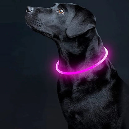 USB Rechargeable Fiber Optic Collar Pet Dog LED Light Collar Luminous Anti-Lost Dog Collar USB Rechargeable Dog Necklace Collar