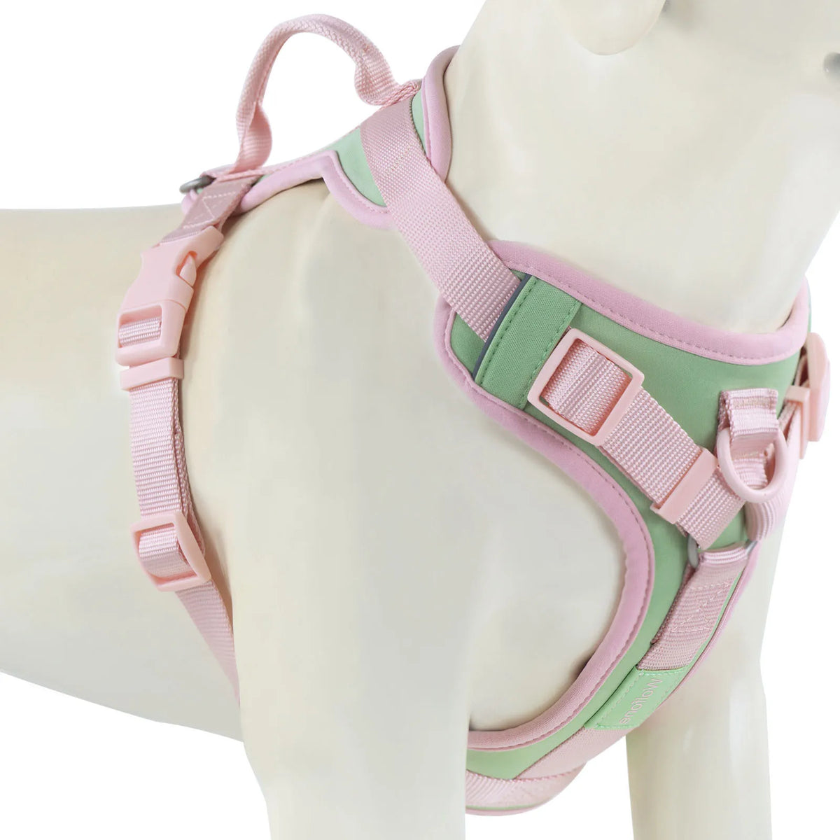 Pawzzle Pop – Colorblock Adjustable Dog Harness