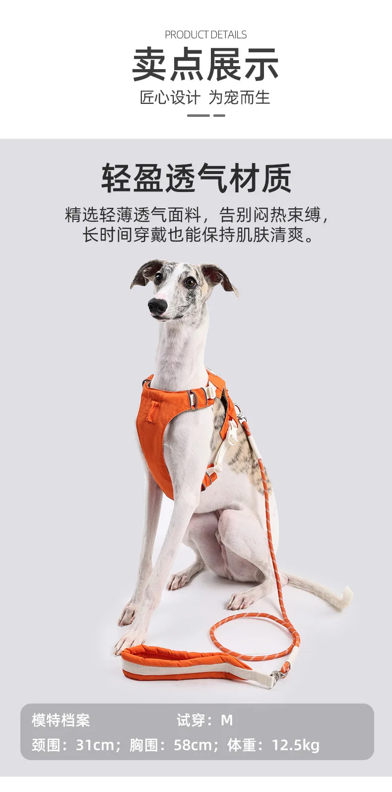 Dog leash, anti-shock dog chain, outdoor dog walking leash, detachable pet harness