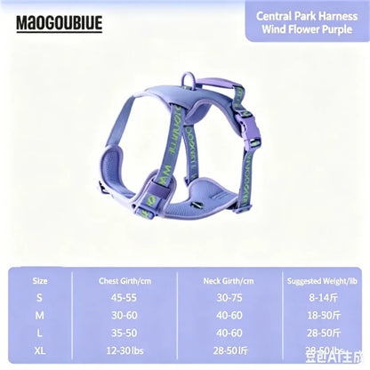 Pawfetti Dog Harness & Leash Set