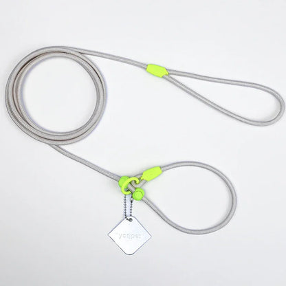 Dog Leash Slip Lead Rope Collar Strong Lightweight Braided Dog Training Leash No Pull Training Lead Leash for Medium & Small Dog