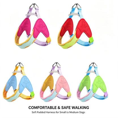 Waggle Galaxy – Colorblock Dog Harness & Leash Set