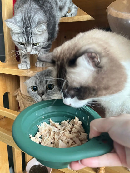 1/3PC Portable Collapsible Silicone Dog Cat Bowl Round Foldable Travel Food Water Bowl for Outdoor Feeding with Carabiner