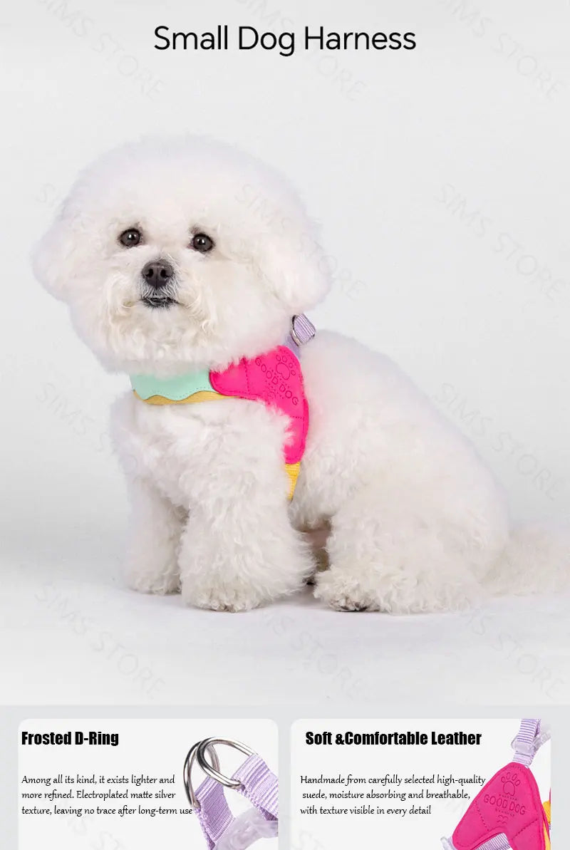 Waggle Galaxy – Colorblock Dog Harness & Leash Set