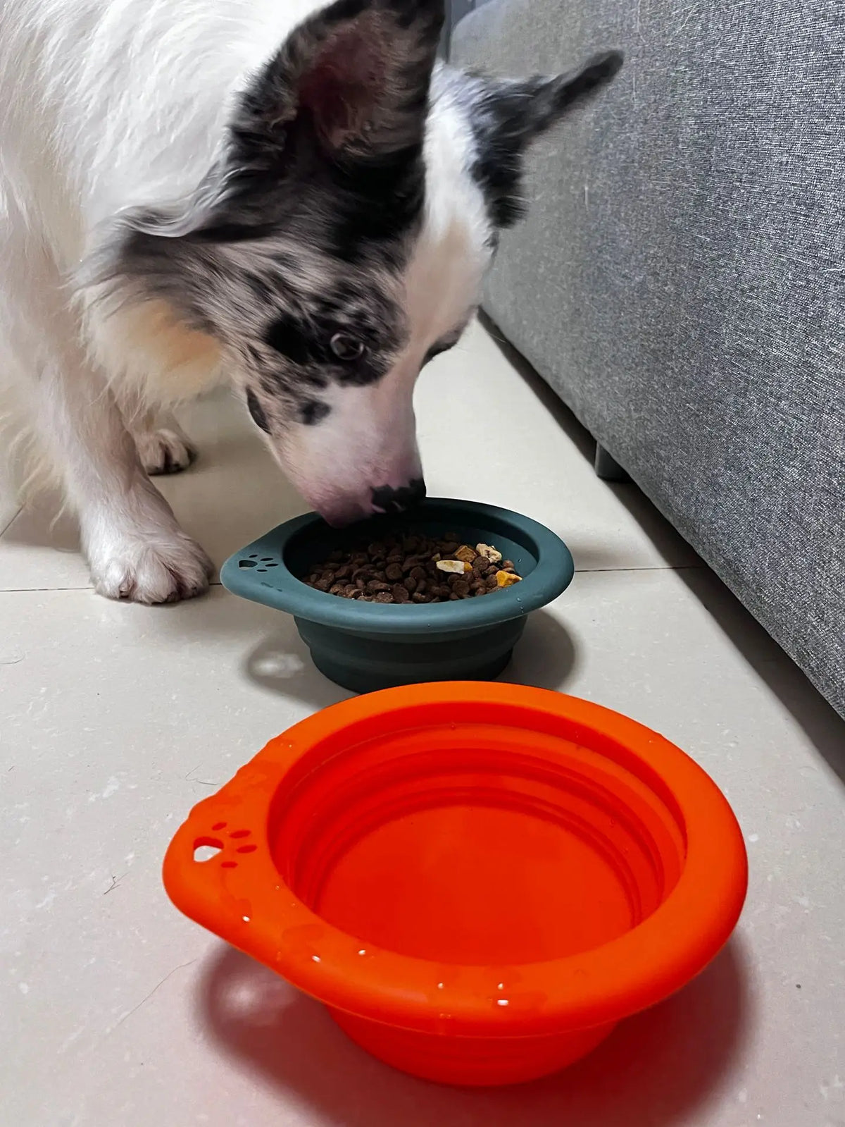 1/3PC Portable Collapsible Silicone Dog Cat Bowl Round Foldable Travel Food Water Bowl for Outdoor Feeding with Carabiner