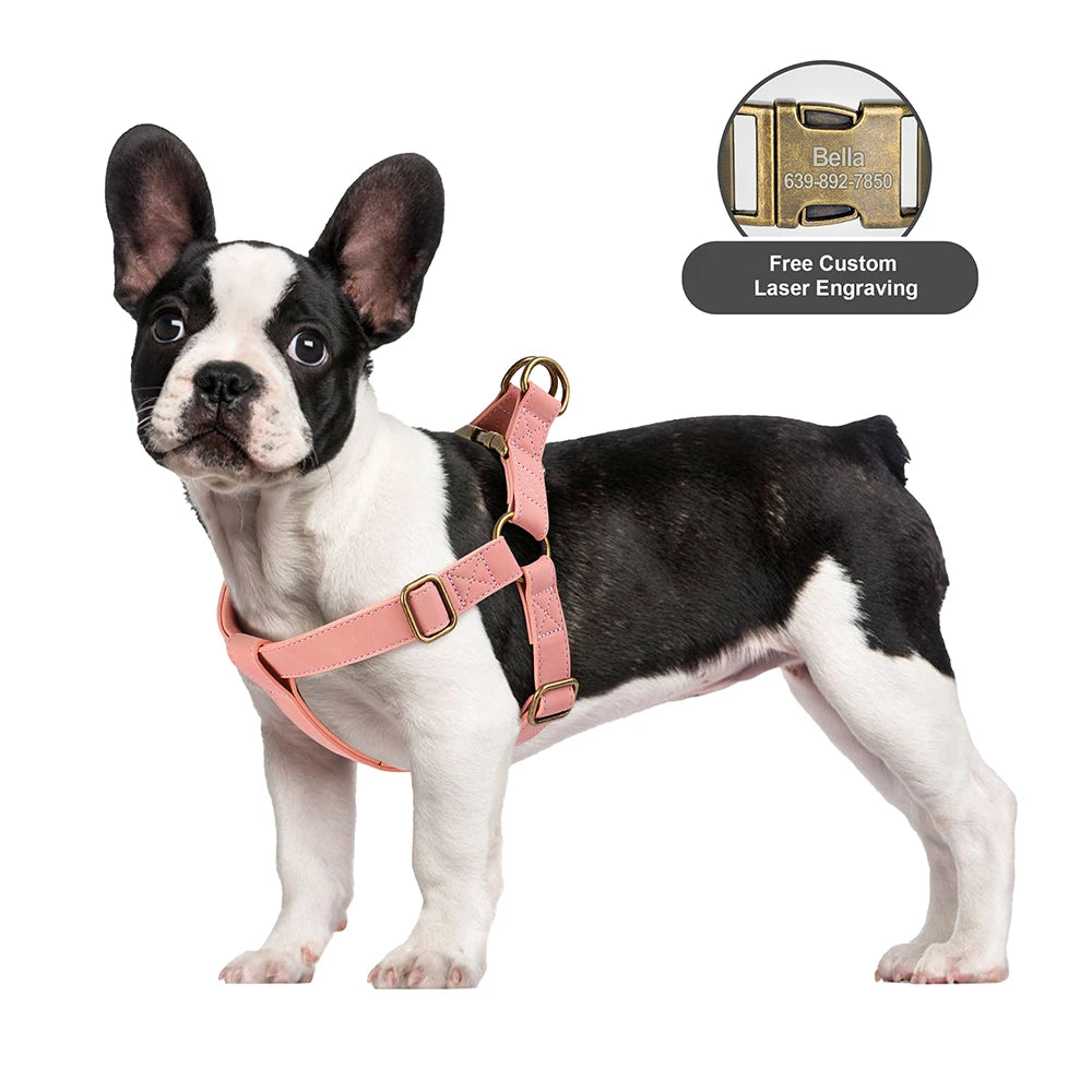 Personalized Dog Harness and Leash Set PU Leather Dogs Harness Free Engraved ID Buckle for Small Medium Large Dogs Pitbull Pug