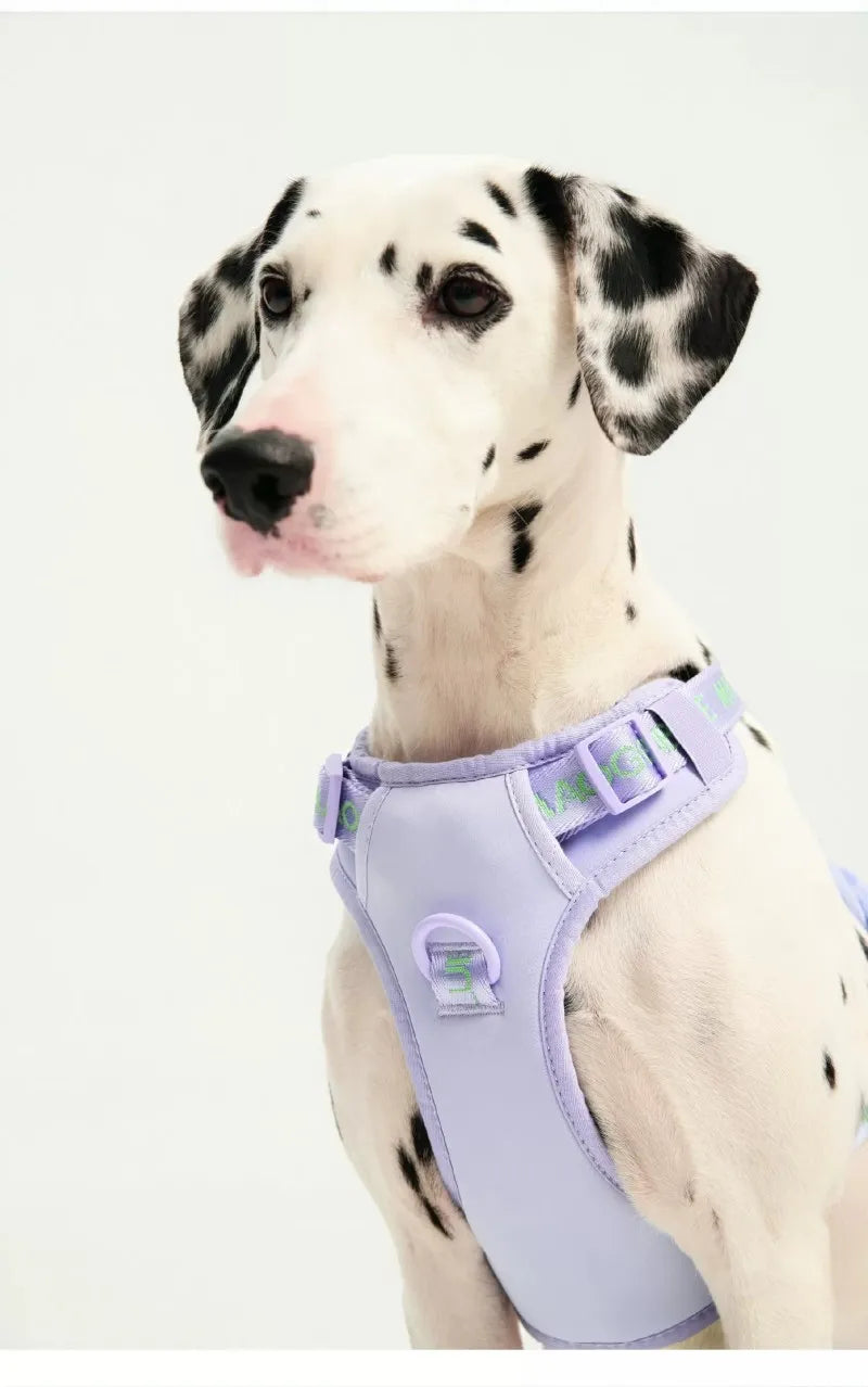 Pawfetti Dog Harness & Leash Set