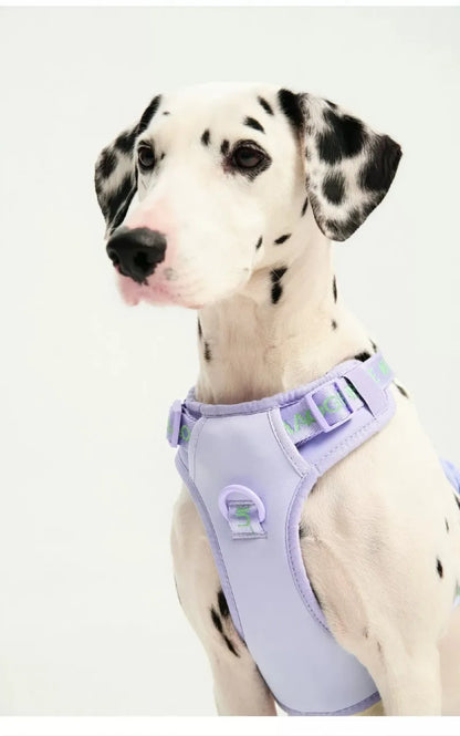 Pawfetti Dog Harness & Leash Set