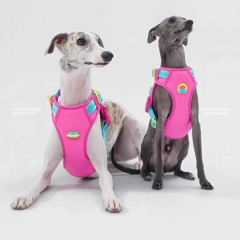 Pawfetti Dog Harness & Leash Set