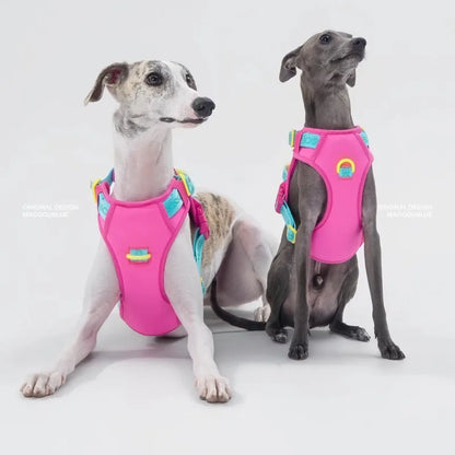 Pawfetti Dog Harness & Leash Set
