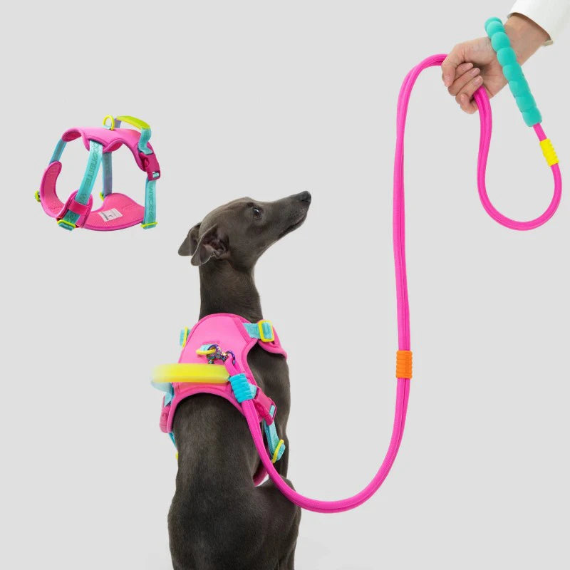 Pawfetti Dog Harness & Leash Set