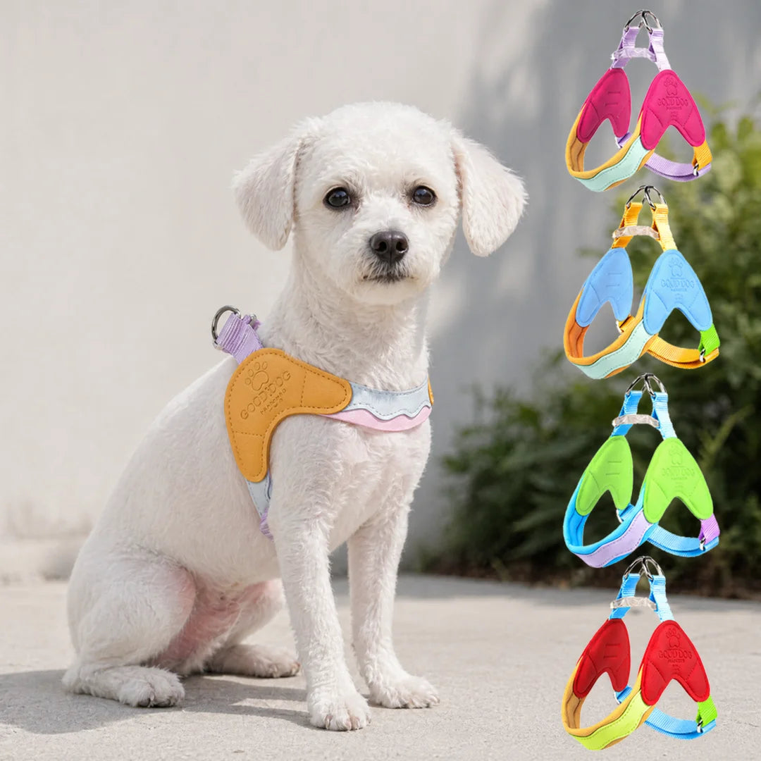Pawparazzi – Color Pop Reflective Dog Harness