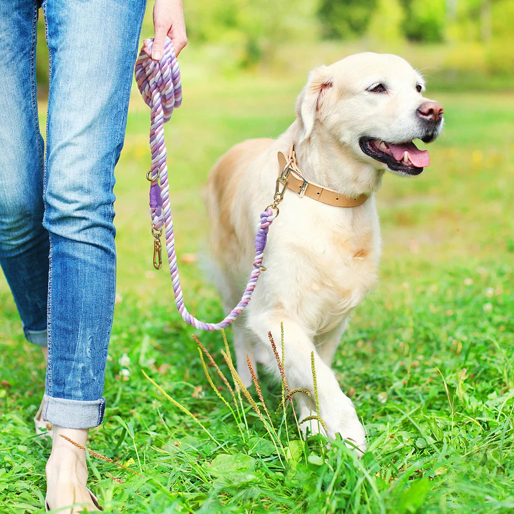 Twist & Tail Braided Hands-Free Dog Leash | Angel on Paws