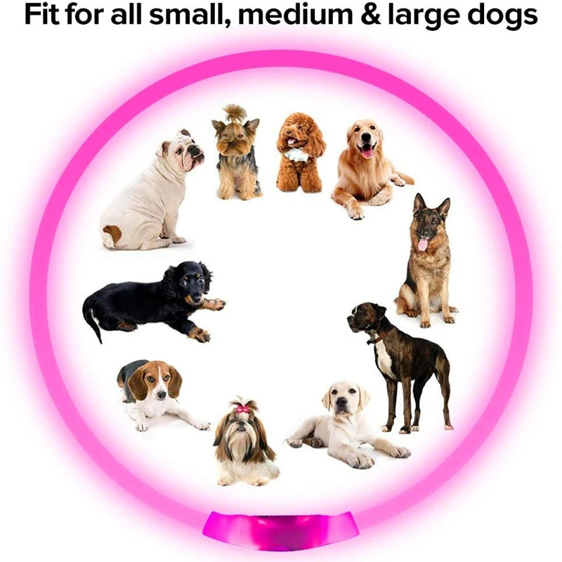 USB Rechargeable Fiber Optic Collar Pet Dog LED Light Collar Luminous Anti-Lost Dog Collar USB Rechargeable Dog Necklace Collar