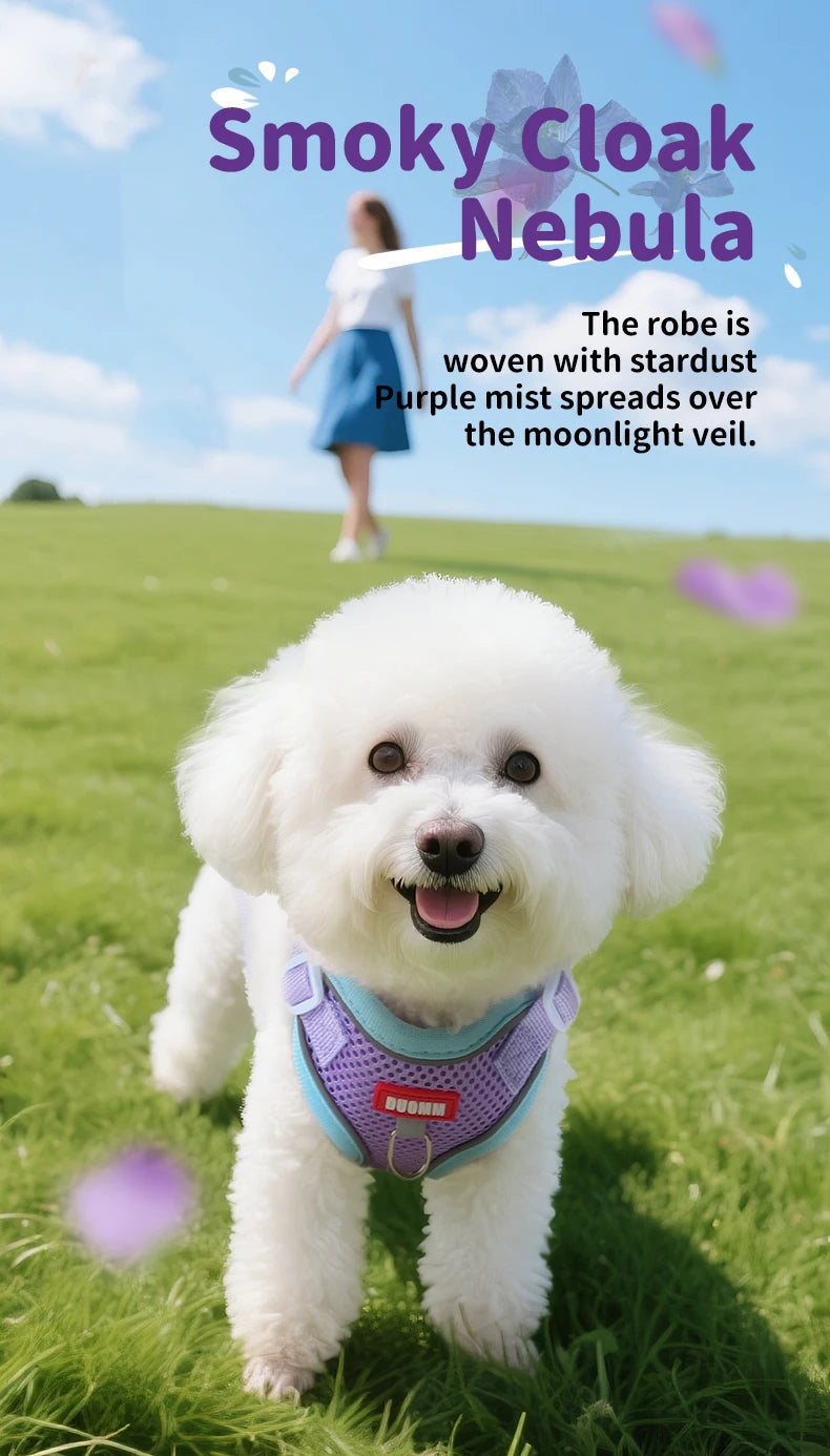 Purrfect Escape – Reflective Mesh Pet Harness & Leash Set