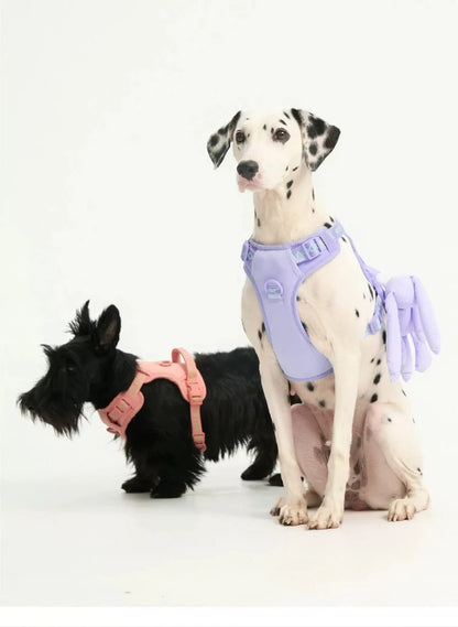 Pawfetti Dog Harness & Leash Set