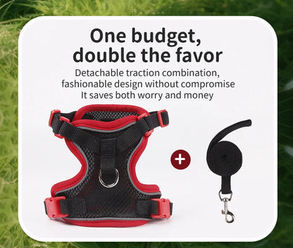 Purrfect Escape – Reflective Mesh Pet Harness & Leash Set