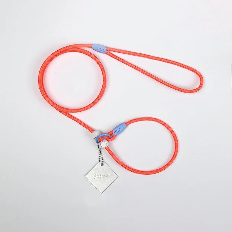Dog Leash Slip Lead Rope Collar Strong Lightweight Braided Dog Training Leash No Pull Training Lead Leash for Medium & Small Dog
