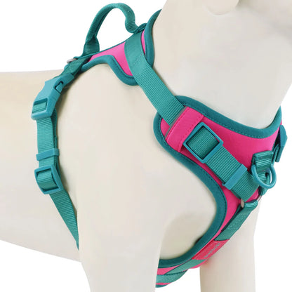 Pawzzle Pop – Colorblock Adjustable Dog Harness