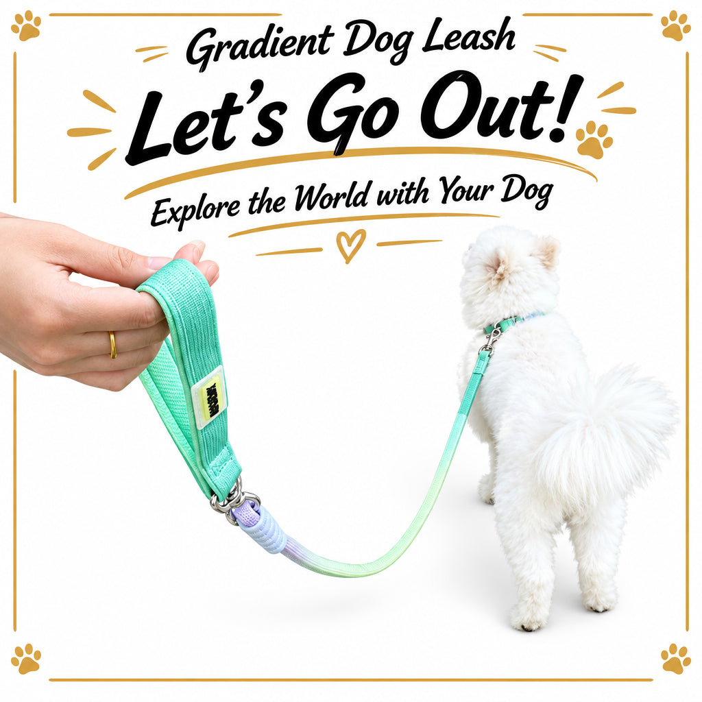Wagbow Gradient Rope Dog Leash