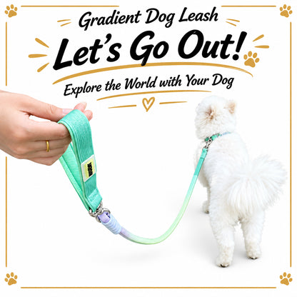 Wagbow Gradient Rope Dog Leash