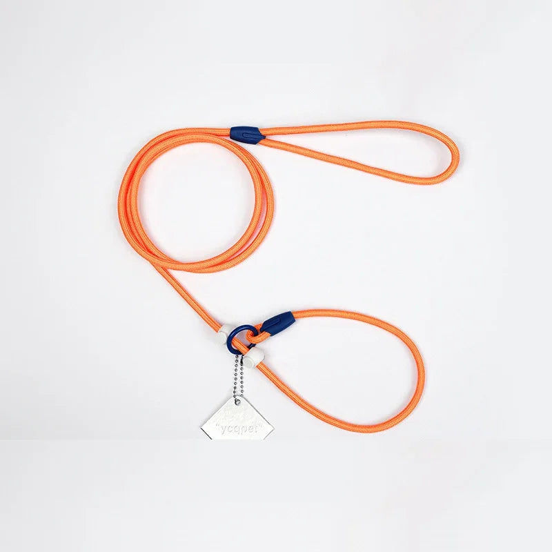 Dog Leash Slip Lead Rope Collar Strong Lightweight Braided Dog Training Leash No Pull Training Lead Leash for Medium & Small Dog