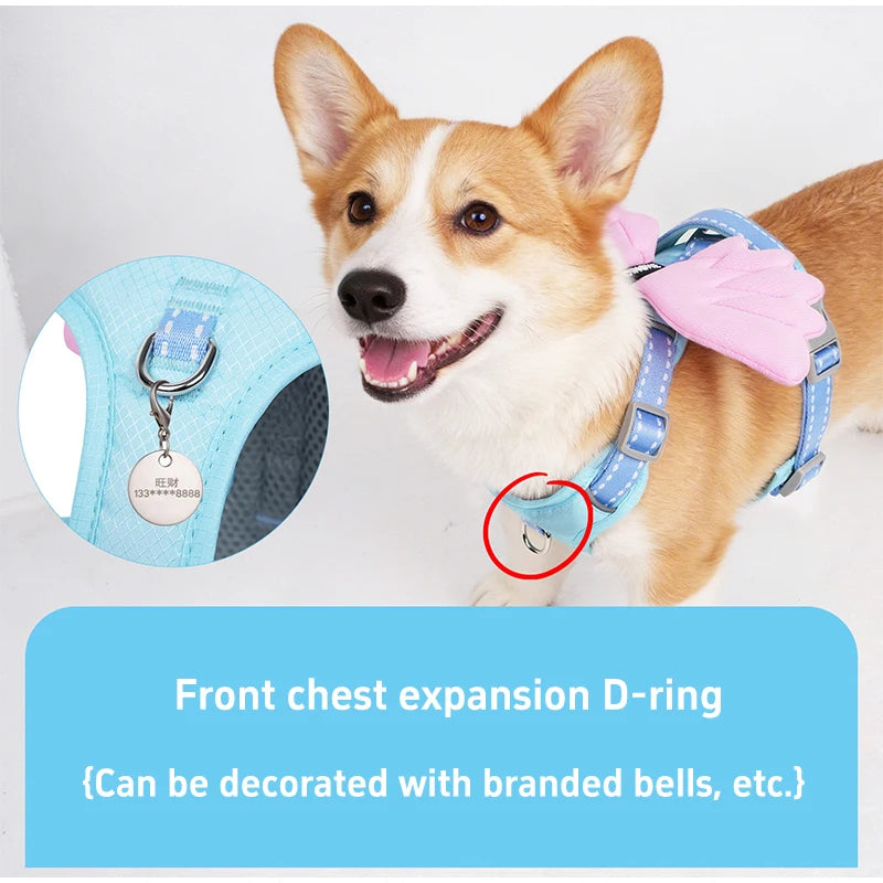 Wing & Wag Angel Wings Dog Harness - A breathable adjustable dog harness finished with playful 3D angel wings.