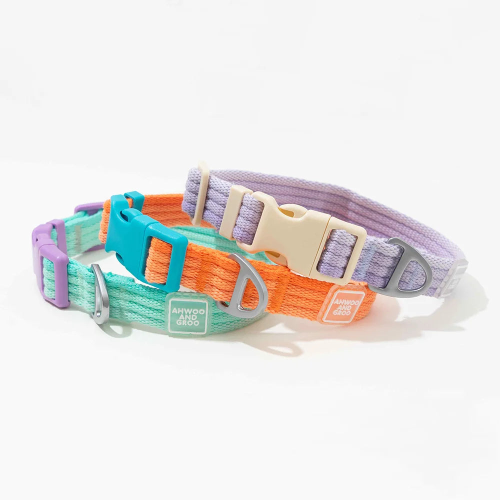 Breezy Pop Dog Harness & Leash Set