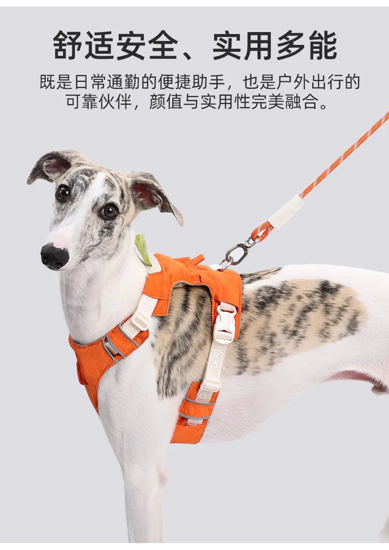 Dog leash, anti-shock dog chain, outdoor dog walking leash, detachable pet harness
