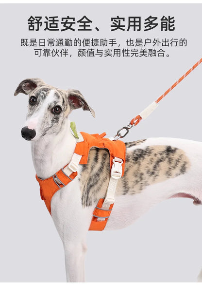 Dog leash, anti-shock dog chain, outdoor dog walking leash, detachable pet harness