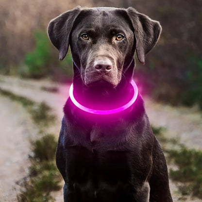 USB Rechargeable Fiber Optic Collar Pet Dog LED Light Collar Luminous Anti-Lost Dog Collar USB Rechargeable Dog Necklace Collar