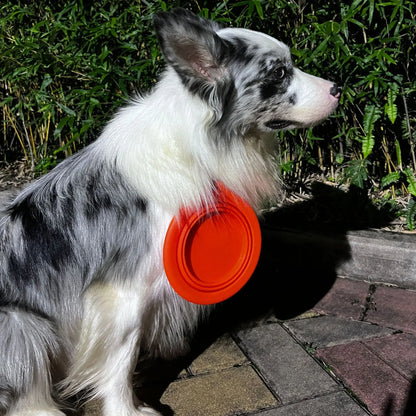 1/3PC Portable Collapsible Silicone Dog Cat Bowl Round Foldable Travel Food Water Bowl for Outdoor Feeding with Carabiner