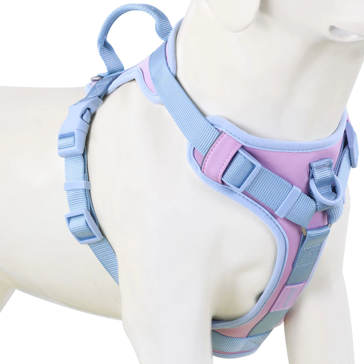 Pawzzle Pop – Colorblock Adjustable Dog Harness