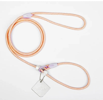 Dog Leash Slip Lead Rope Collar Strong Lightweight Braided Dog Training Leash No Pull Training Lead Leash for Medium & Small Dog