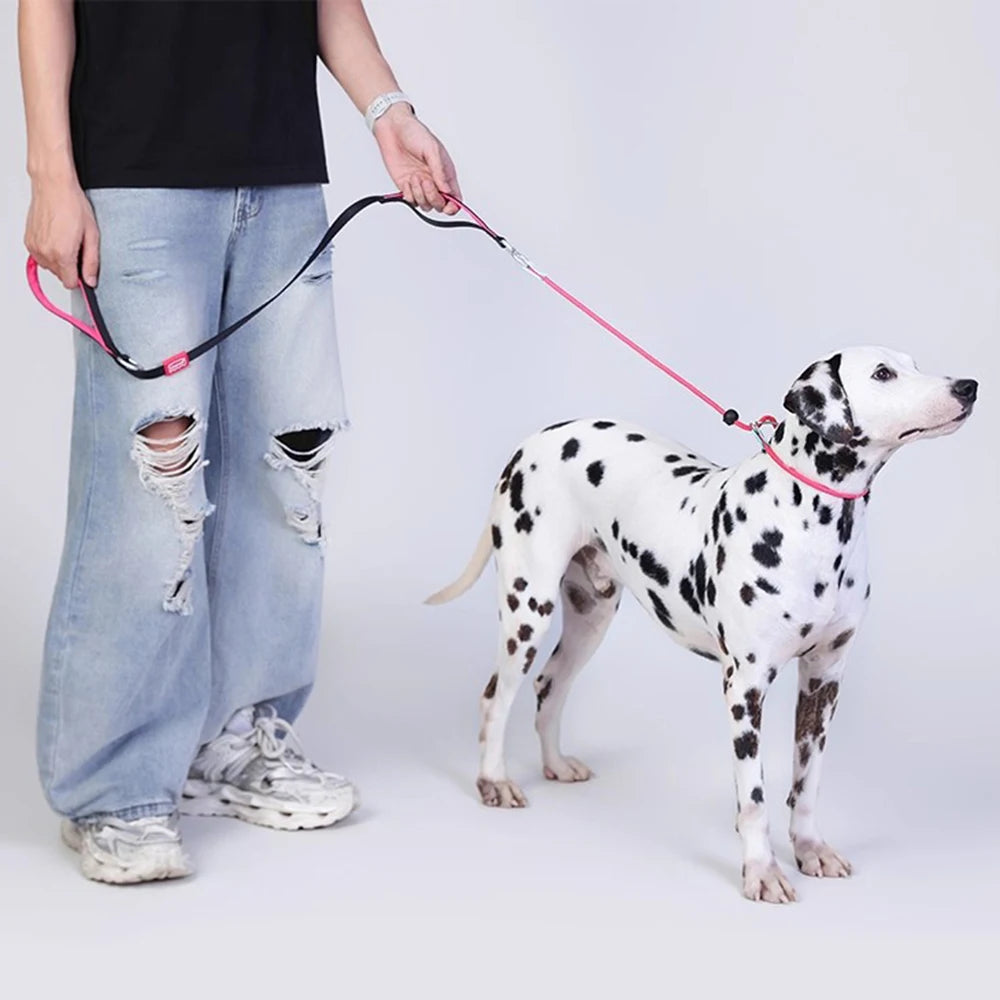 Pawloop Rope Slip Lead Dog Leash