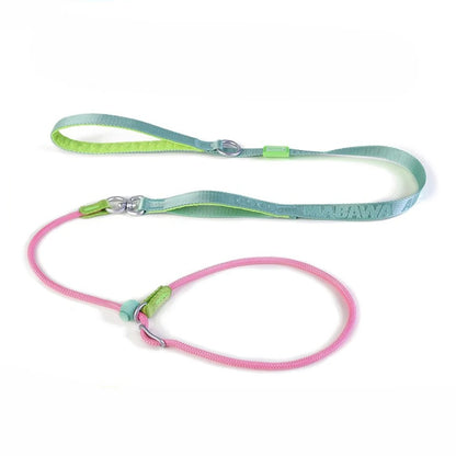 Pawloop Rope Slip Lead Dog Leash