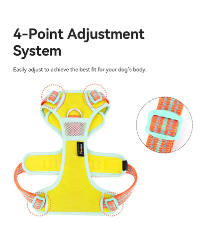 Trailblazer Tails – Reflective Padded Dog Harness