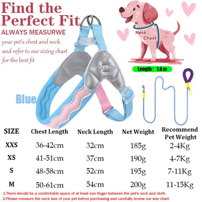 Waggle Galaxy – Colorblock Dog Harness & Leash Set