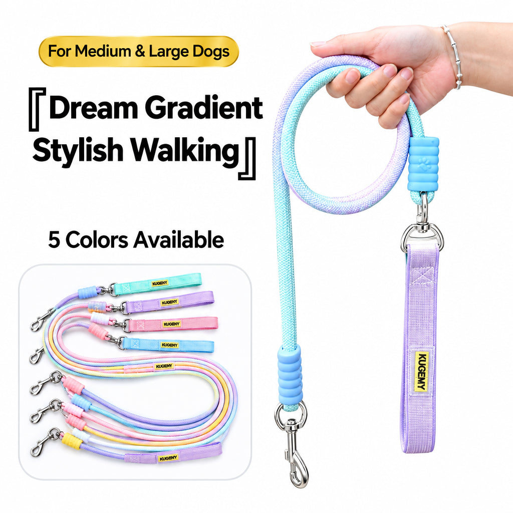 Wagbow Gradient Rope Dog Leash