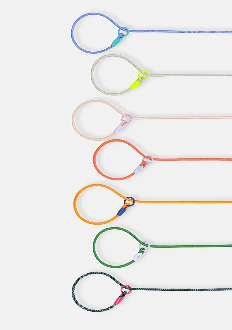 Dog Leash Slip Lead Rope Collar Strong Lightweight Braided Dog Training Leash No Pull Training Lead Leash for Medium & Small Dog