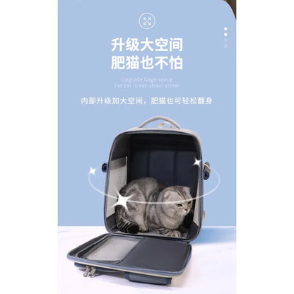 Cat bag, double shoulder, universal in all seasons, anti-stress portable breathable pet bag, portable when going out in summer