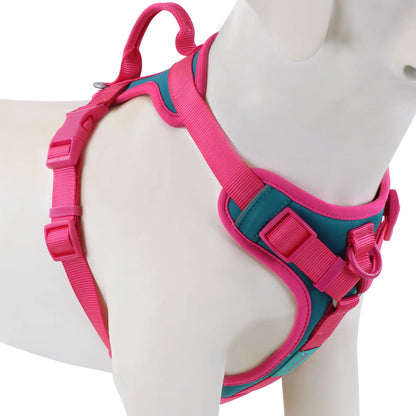 Pawzzle Pop – Colorblock Adjustable Dog Harness