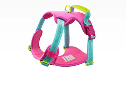 Pawfetti Dog Harness & Leash Set