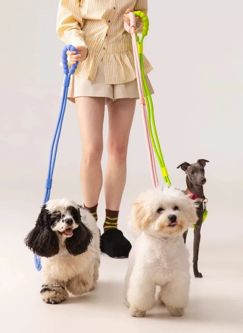 Pawfetti Dog Harness & Leash Set
