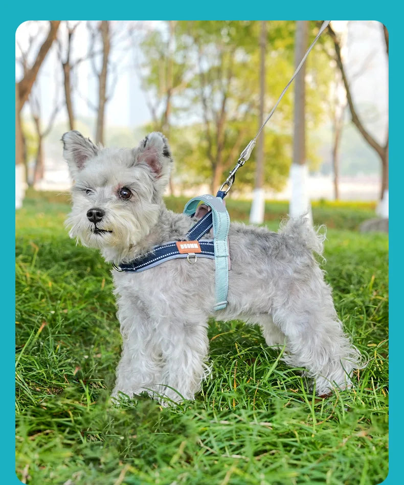Explosion-Proof Pet Saddle Harness Dog Leash for Shiba Inu Bichon Frize Puppy Outdoor Pet Supplies Dog Collar Cat Collar