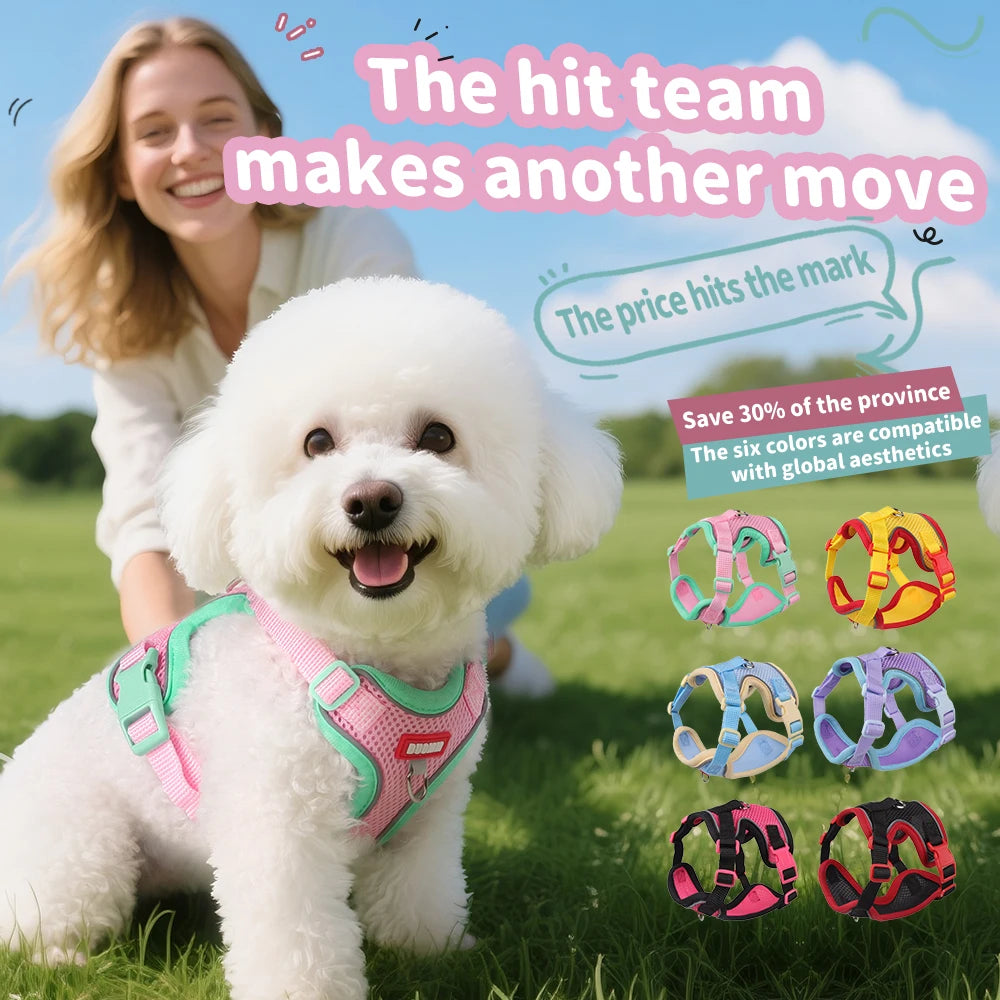 Purrfect Escape – Reflective Mesh Pet Harness & Leash Set