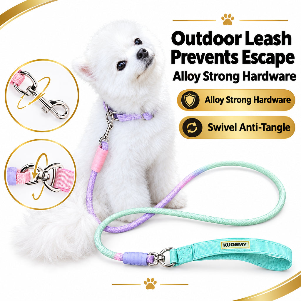 Wagbow Gradient Rope Dog Leash